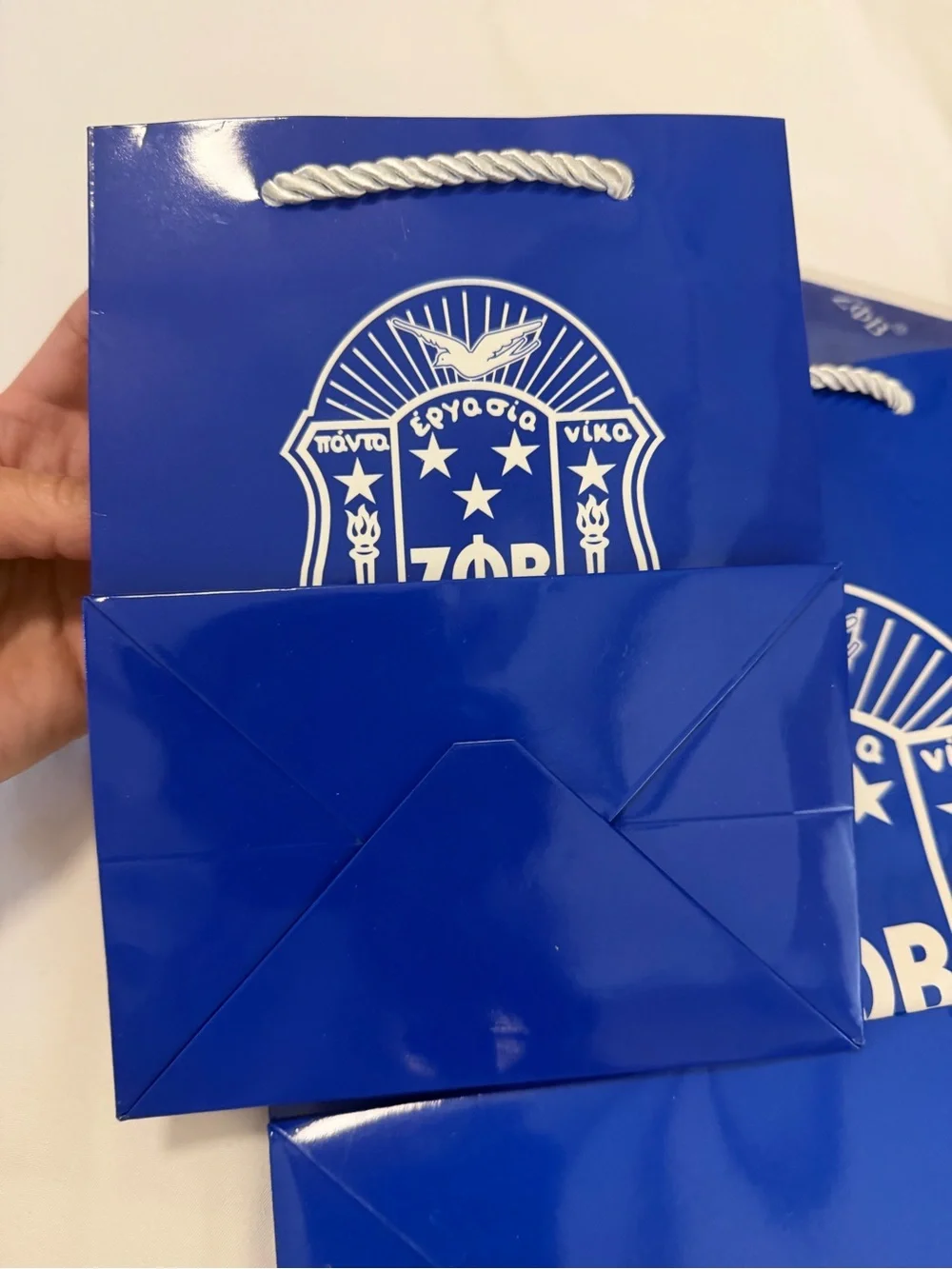 Zeta phi Beta gift bags set with matching box